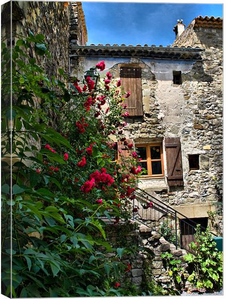 Leaning Cottage With Roses Canvas Print by Jacqi Elmslie
