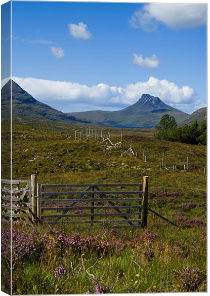 The Path to Stac Pollaidh Canvas Print by Jacqi Elmslie