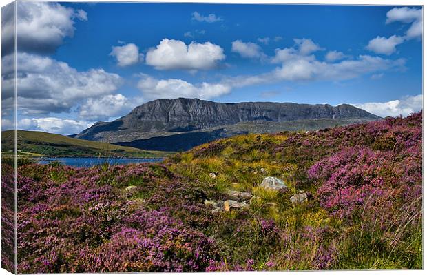 Ben More Coigach from Ardmair Canvas Print by Jacqi Elmslie