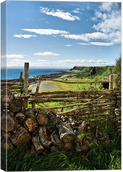 Rockfield from Ballone Castle Canvas Print by Jacqi Elmslie