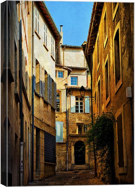 Alleyway in Avignon Canvas Print by Jacqi Elmslie