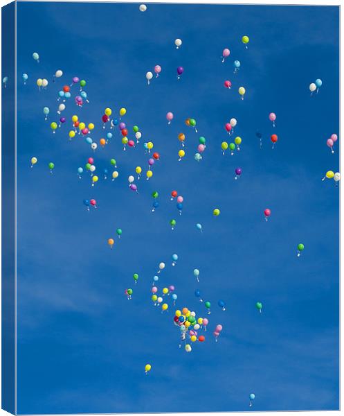 Balloon Race Canvas Print by Jacqi Elmslie