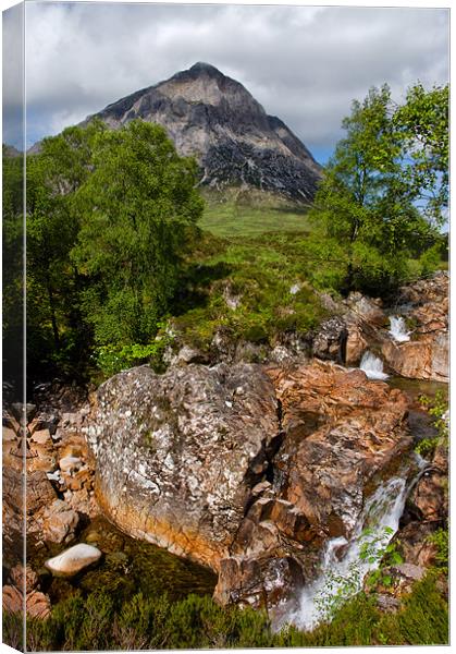 The Buachaille in Summer Canvas Print by Jacqi Elmslie