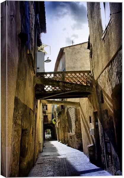 Grungy Alley in Sommieres Canvas Print by Jacqi Elmslie