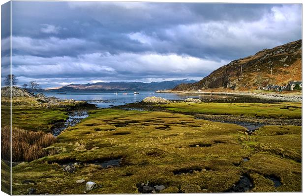 Glenuig Bay Canvas Print by Jacqi Elmslie