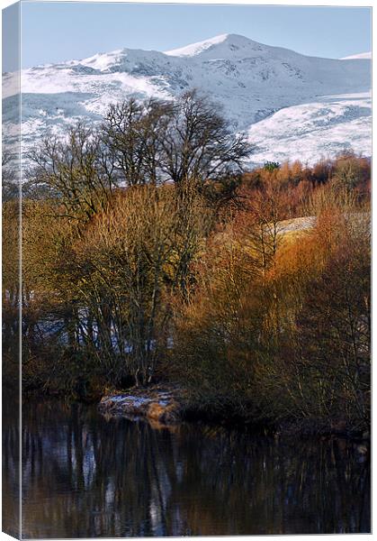 Glen Strathfarrar in February Canvas Print by Jacqi Elmslie