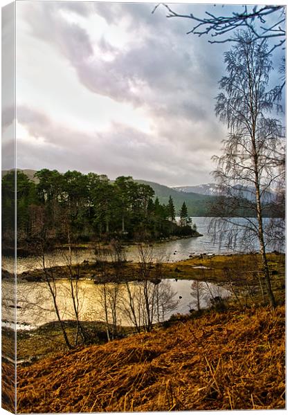 Lonely Loch Canvas Print by Jacqi Elmslie
