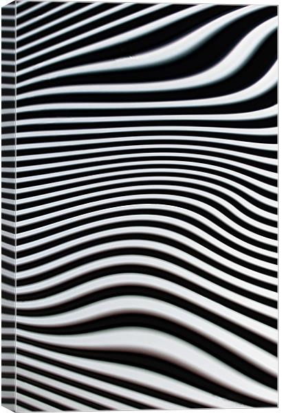 Zebra Stripes Canvas Print by Jacqi Elmslie