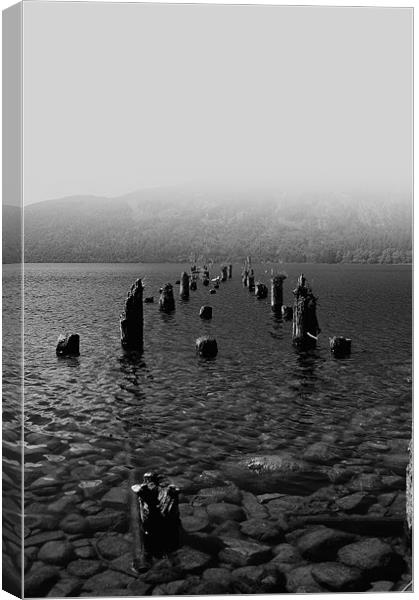 Misty Morning on Loch Ness Canvas Print by Jacqi Elmslie