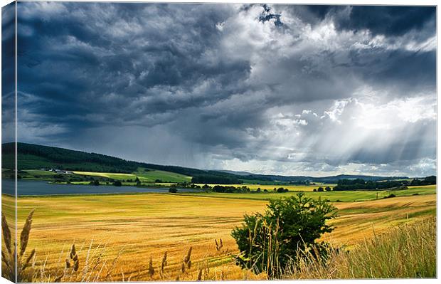 Storm Clouds and Sunbeams Canvas Print by Jacqi Elmslie
