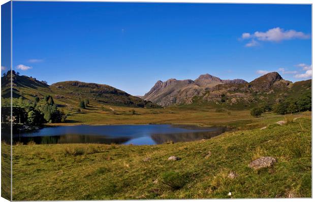 Blea Tarn and the Langdales Canvas Print by Jacqi Elmslie