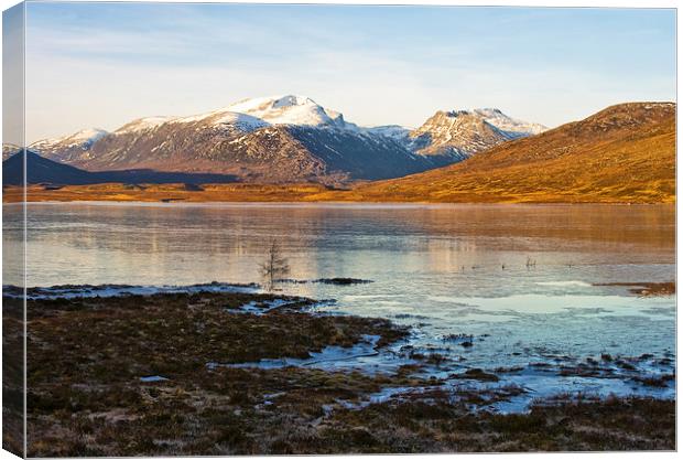 Winter Arrives in the Highlands Canvas Print by Jacqi Elmslie