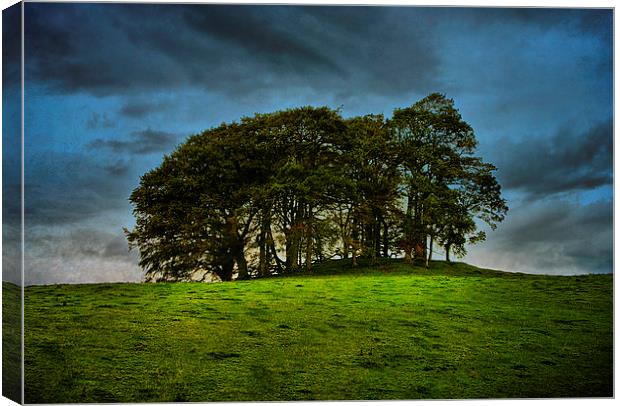 The Copse on the Hill Canvas Print by Jacqi Elmslie