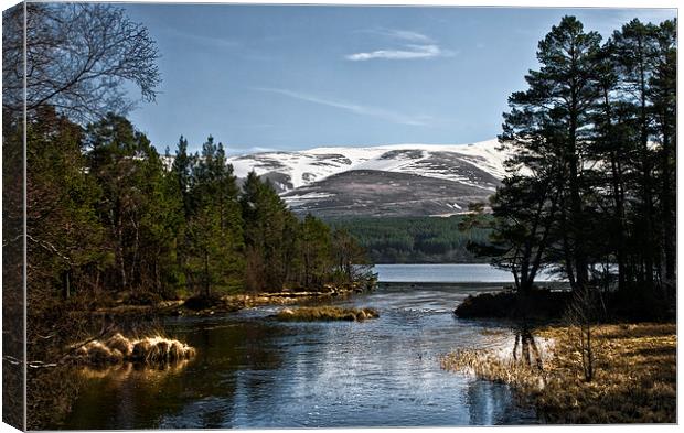 Cairngorm and Loch Morlich Canvas Print by Jacqi Elmslie