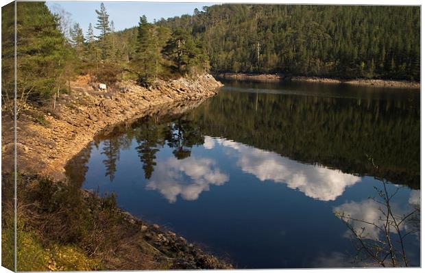 Loch Benevean, Glen Affric Canvas Print by Jacqi Elmslie