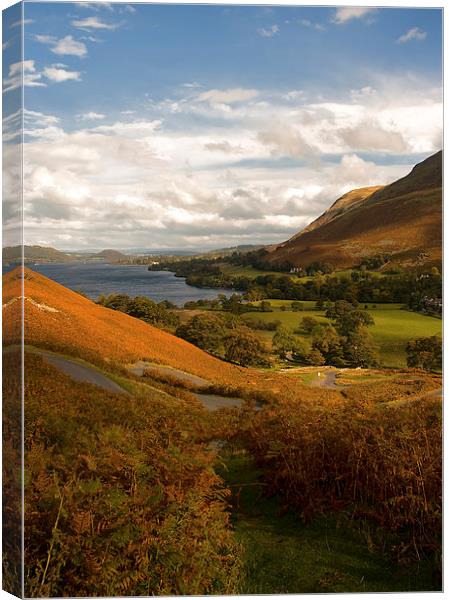 Martindale View Through the Bracken Canvas Print by Jacqi Elmslie