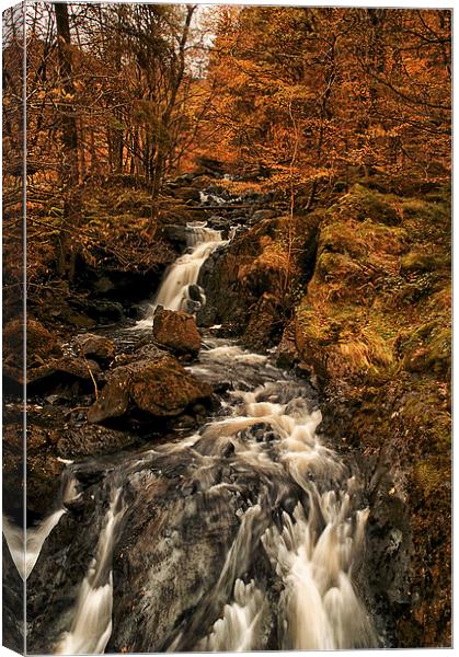  Dob Ghyll in Autumn Canvas Print by Jacqi Elmslie
