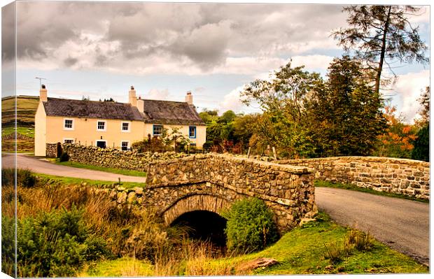 Bridge Over the River Caldew  Canvas Print by Jacqi Elmslie