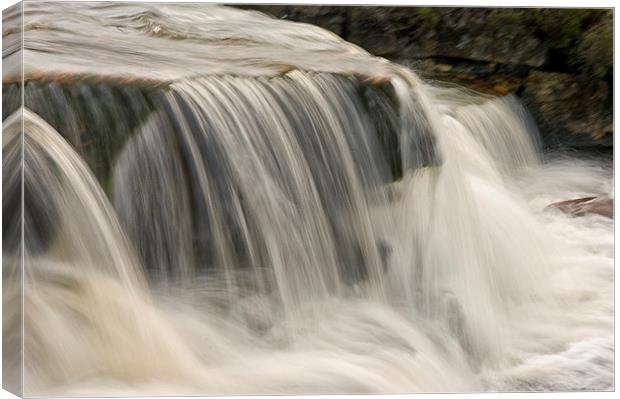 The Roar of Water  Canvas Print by Jacqi Elmslie
