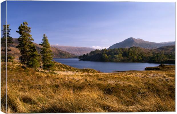 Loch Clair, Torridon, the Highlands of Scotland Canvas Print by Jacqi Elmslie