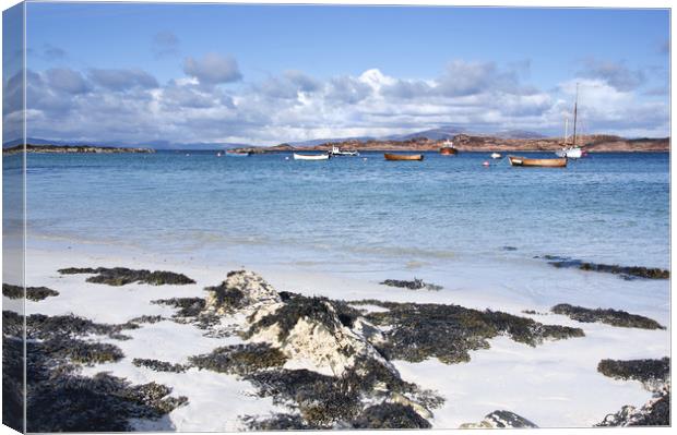 Beach on the Isle of Iona Canvas Print by Jacqi Elmslie