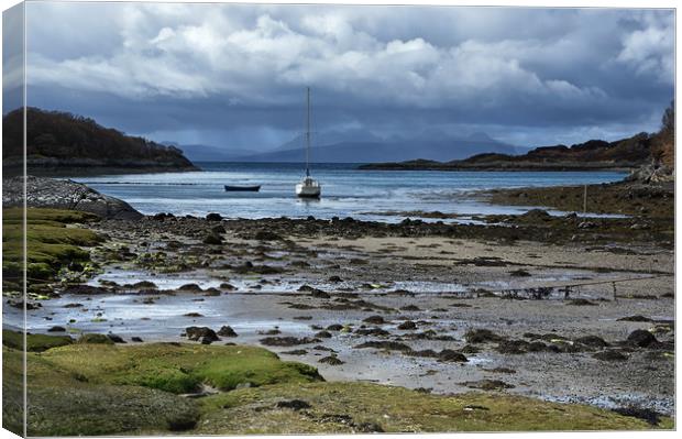 Blue Evening In the Sound of Arisaig Scotland Canvas Print by Jacqi Elmslie