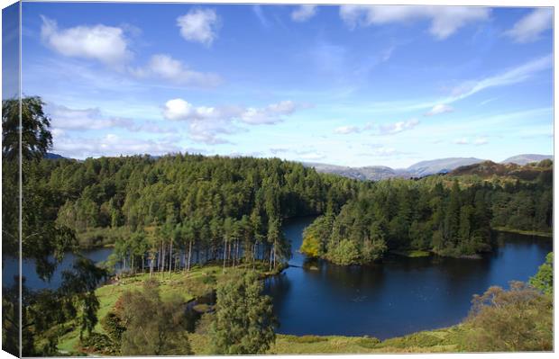Tarn Hows, the Lake District Canvas Print by Jacqi Elmslie