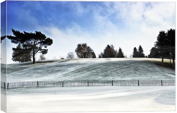 A Heavy Frost on the Golf Course Canvas Print by Jacqi Elmslie