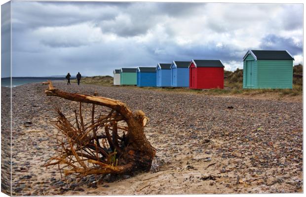 Not Beach Hut Weather at Findhorn Beach  Canvas Print by Jacqi Elmslie