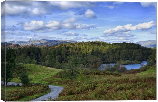 Tarn Hows and the Langdale Hills Canvas Print by Jacqi Elmslie