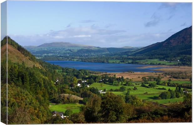 Bassenthwaite Lake from Whinlatter Pass Canvas Print by Jacqi Elmslie