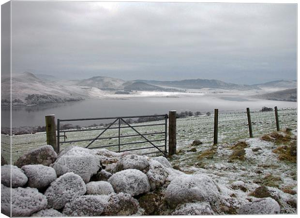 Loch Ruthven in Winter Canvas Print by Jacqi Elmslie