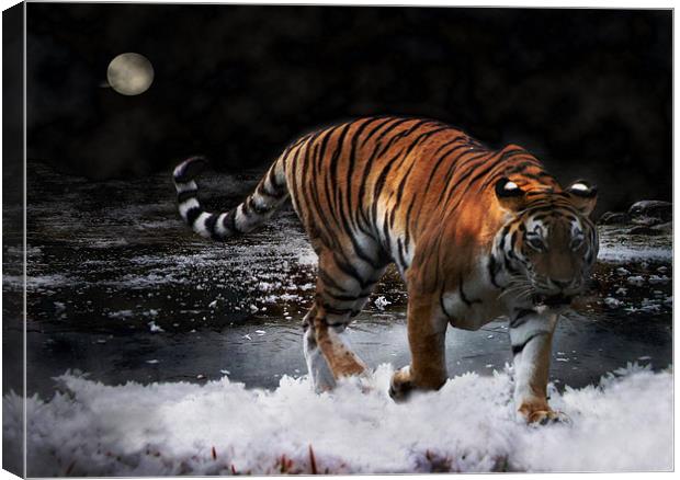 Tiger On The Run Canvas Print by Jacqi Elmslie