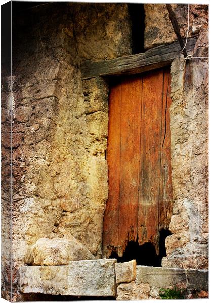 Ever So Slightly Old Door Canvas Print by Jacqi Elmslie