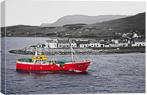 Sailing Into Ullapool Harbour Canvas Print by Jacqi Elmslie