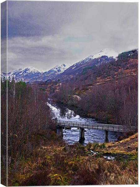 Glen Affric Scotland Canvas Print by Jacqi Elmslie