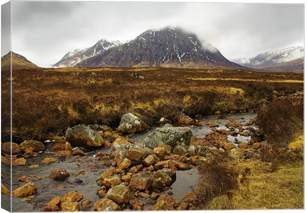 Across the Moor to Buachaille Etive Mor Canvas Print by Jacqi Elmslie