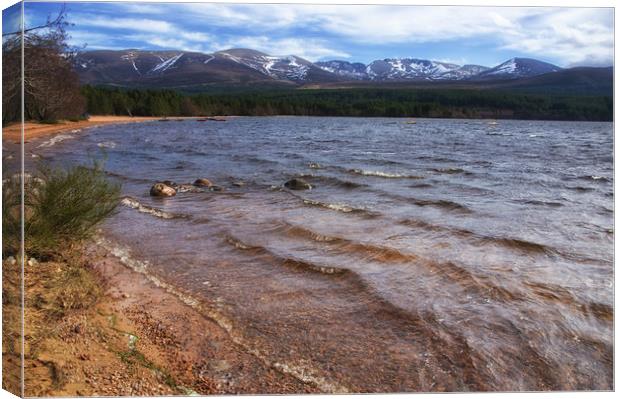 Loch Morlich Early Spring Canvas Print by Jacqi Elmslie