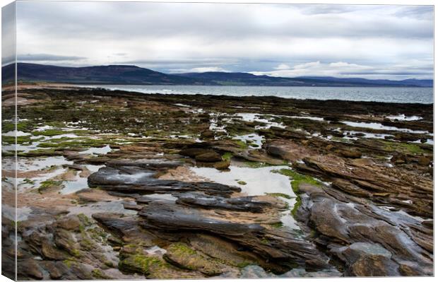 Rocks and Rock pools at Embo beach Scotland Canvas Print by Jacqi Elmslie