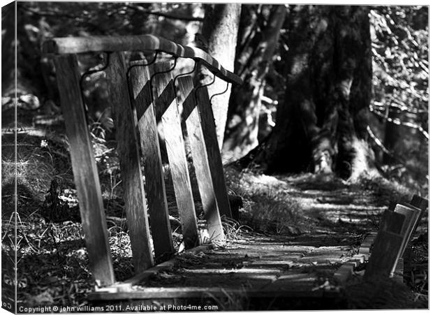 Bridge Canvas Print by john williams