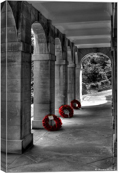 Rememberance Canvas Print by Dave Hayward