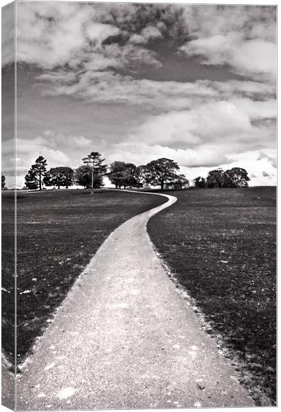 Stroll Down The Path Canvas Print by Jim kernan
