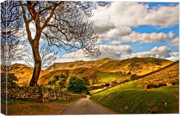 The Road To Howtown Canvas Print by Jim kernan