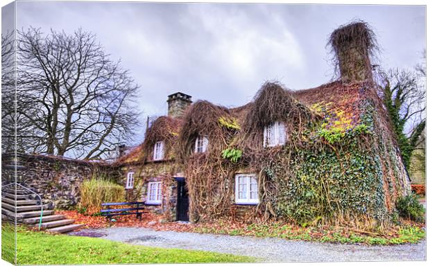 The Overgrown Cottage Canvas Print by Jim kernan