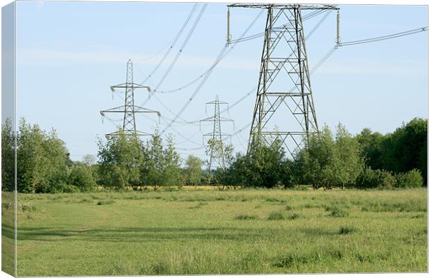 Pylons Canvas Print by Kevin West