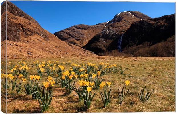 Glen Nevis In Spring Canvas Print by James Buckle