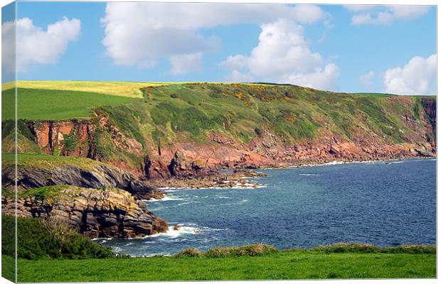 Coastal Path Along Stackpole Quay Canvas Print by Geoff Pickering