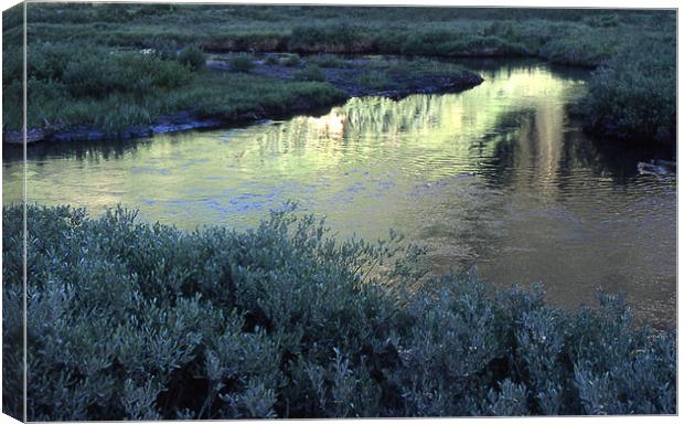 Reflection 2 3703_50337 Canvas Print by Judith Schindler-Domser
