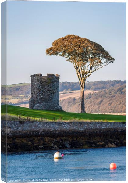 Ancient Guard Tower, Strangford Canvas Print by David McFarland