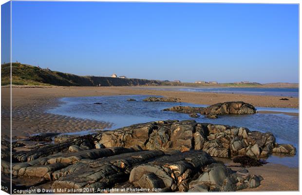 Ballyhornan Beach, County Down Canvas Print by David McFarland